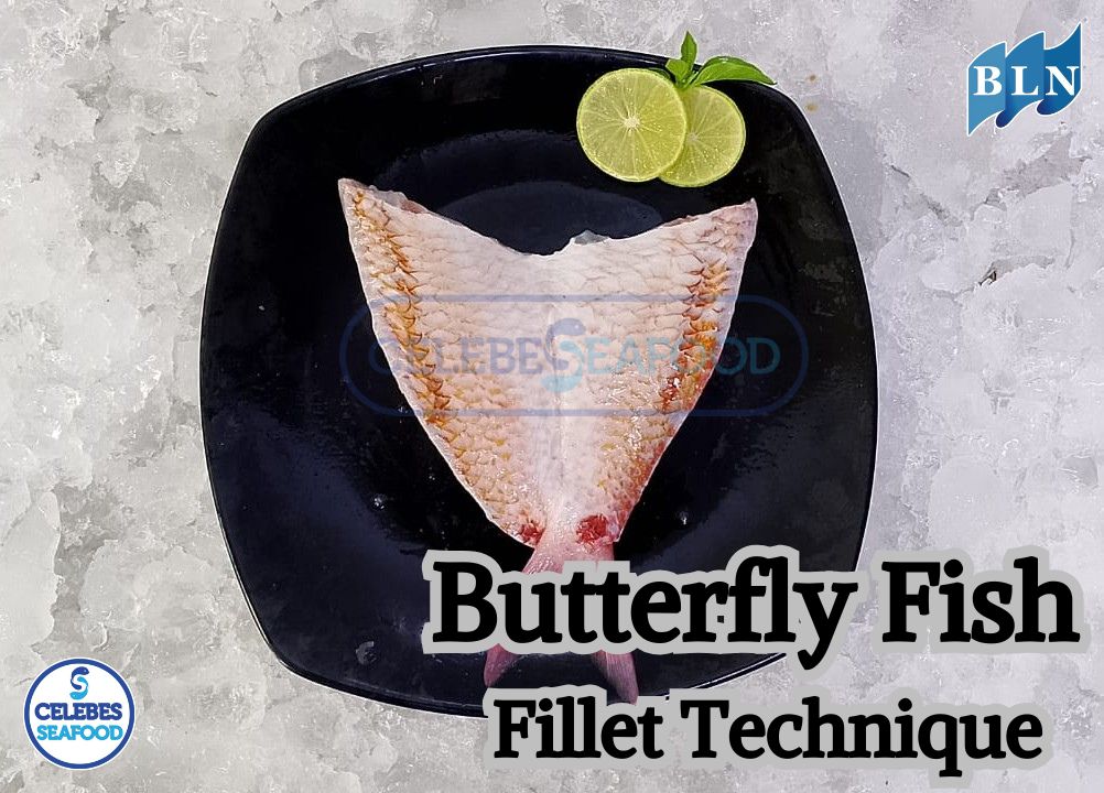 Basic Techniques that must be Mastered for Butterfly Fish Fillets